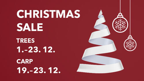 Christmas sale – Christmas trees and carp