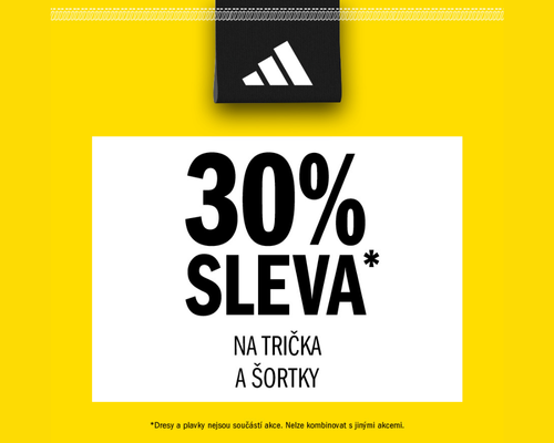PRAVY VIZULU NA WEB 30